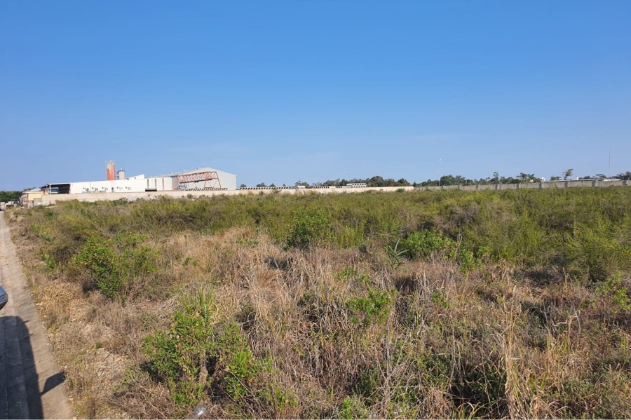 0 Bedroom Property for Sale in Greenbushes Eastern Cape